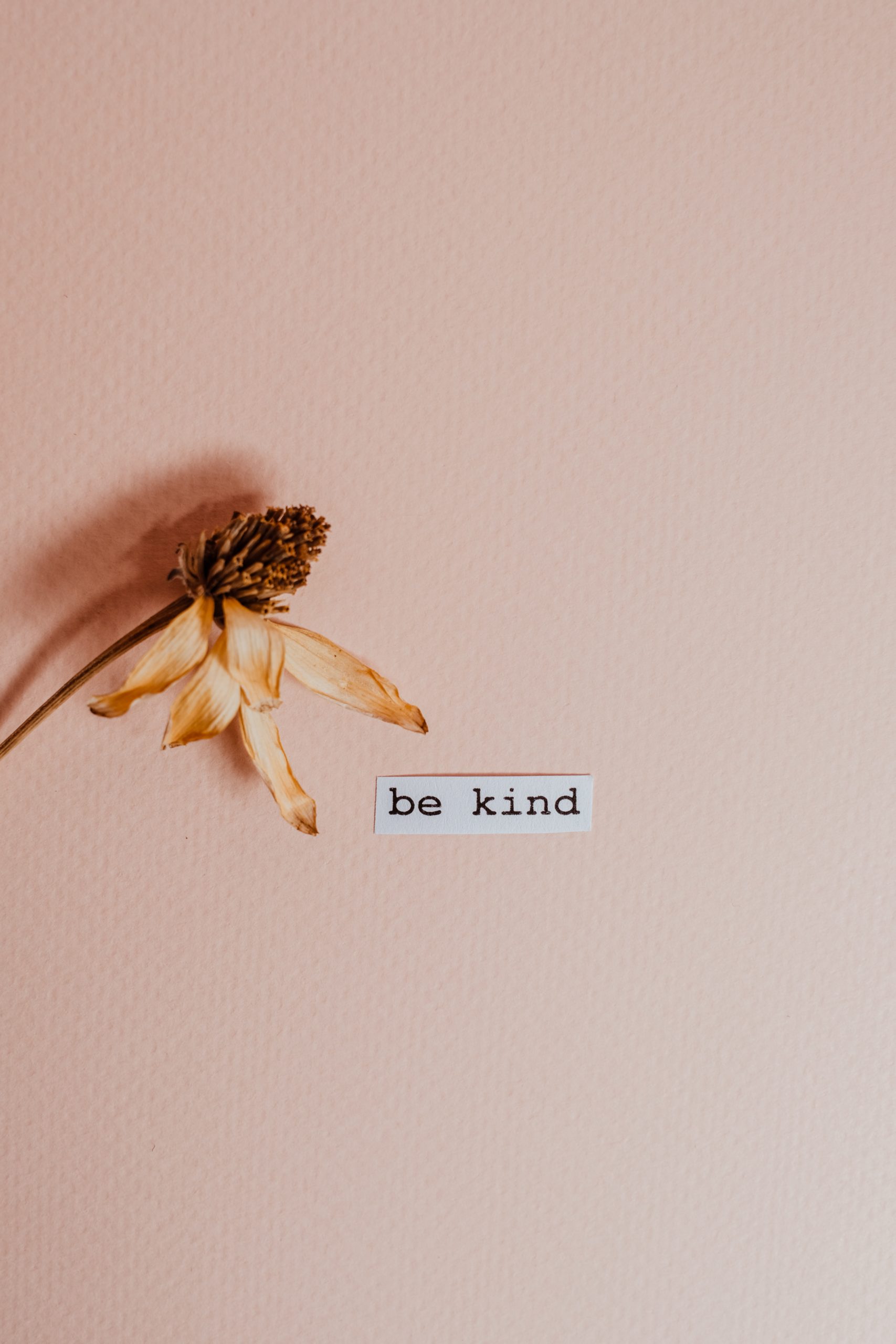 Sticker Saying Be Kind